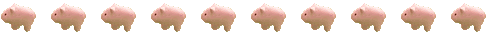 pig.gif (3267 oCg)