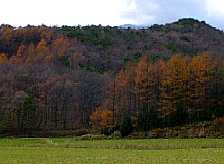99112101.jpg (4916 oCg)