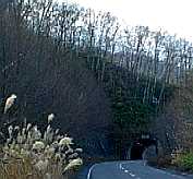 99112101.jpg (4916 oCg)