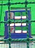 ̂VQbg