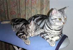 ÂeB