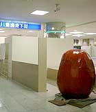 ̌p