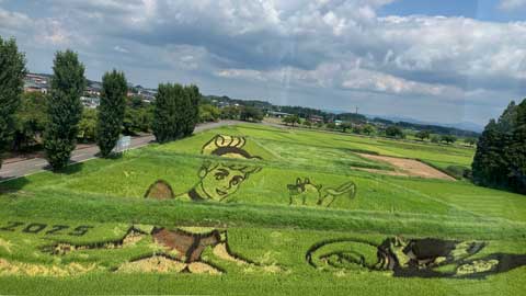 田んぼアート