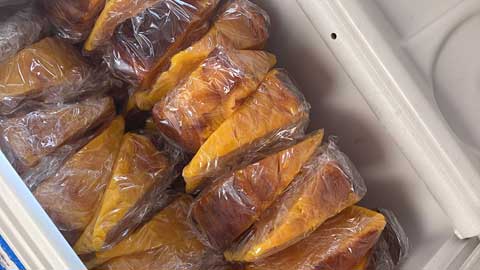 差し入れのかぼちゃケーキ