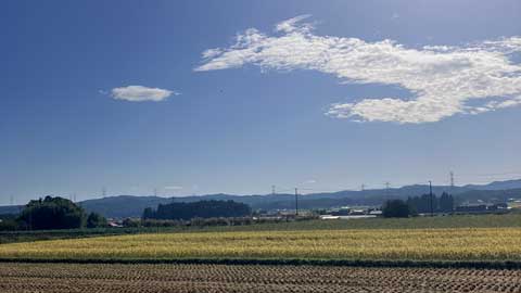 秋晴れの通勤路