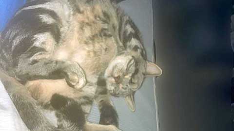 ラキとオイラの午前3時