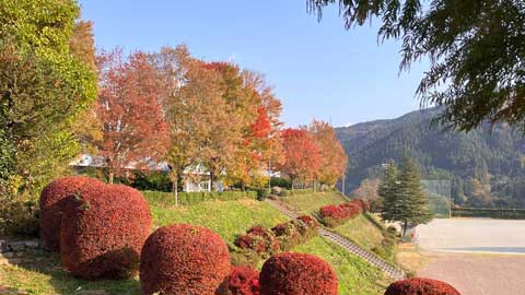 駐車像からの眺めが最高