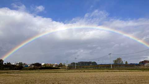 見事な虹