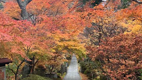 山本不動尊の紅葉