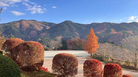 ボジョレー解禁日