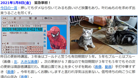 締めはそぼろ大根