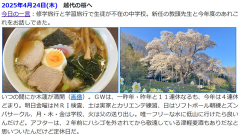 1年前の越代の桜